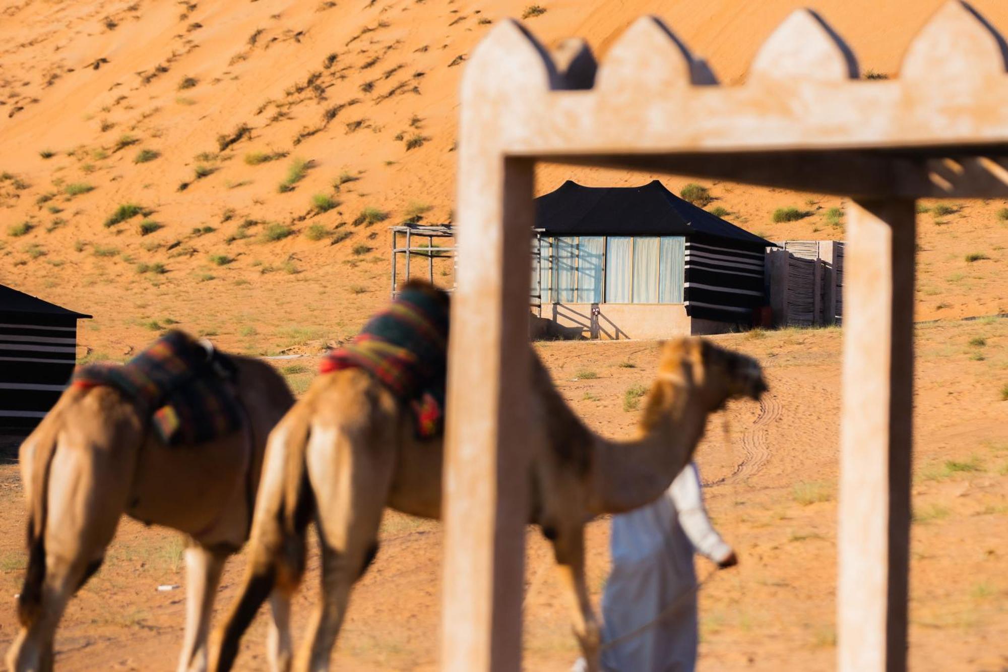 Thousand Nights Camp Shahiq Phòng bức ảnh